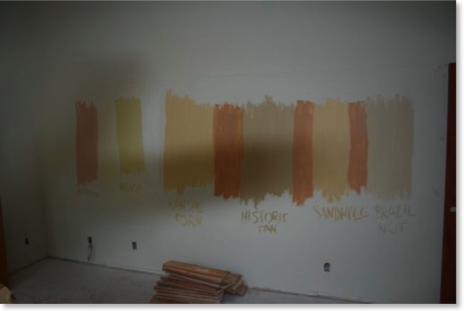 Paint samples are on the walls