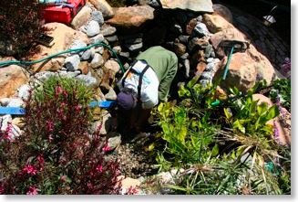 Cesar is catching fish in the rocks.