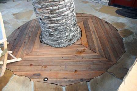 Wood deck around palm tree