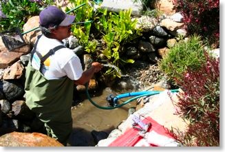 With only a few inches of water, Cesar starts to catch the fish.