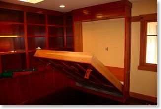 Library cabinets with Murphy bed