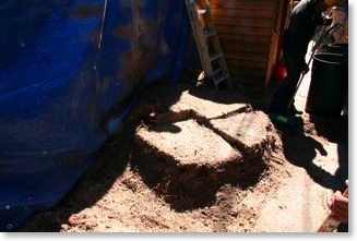 The remaining palm tree stump.